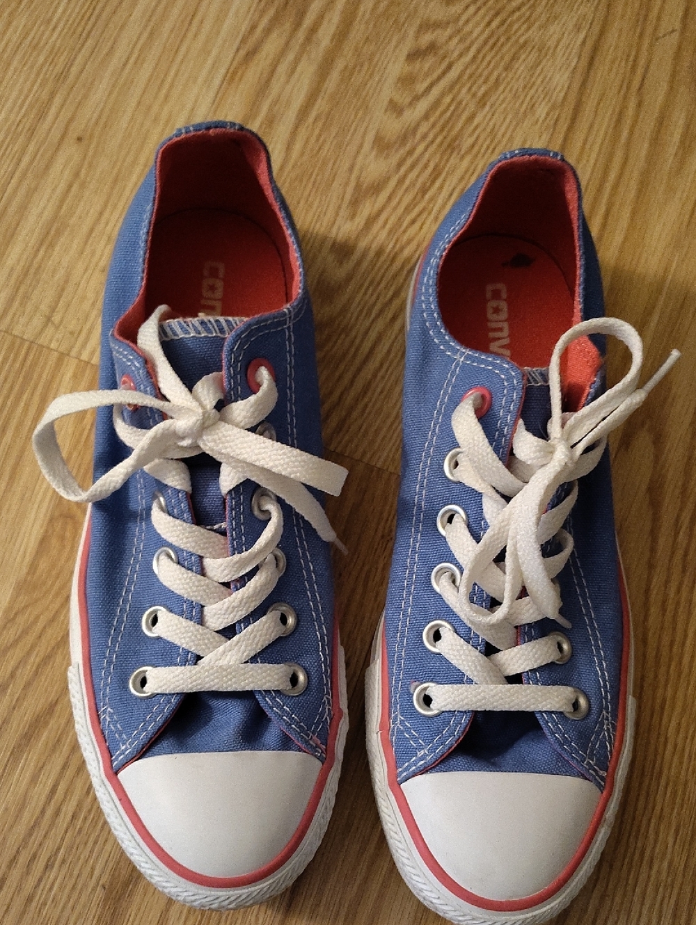 Converse Blue Canvas Low-Top Sneakers with Pink Interior